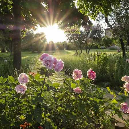 Borgo Argiano * Castelnuovo Berardenga